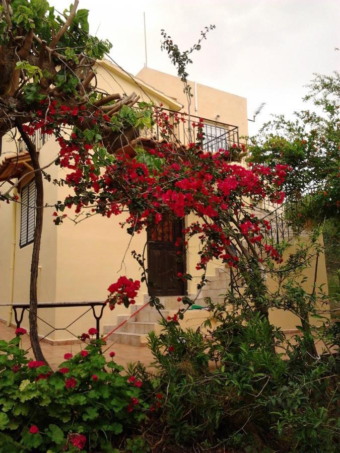דירות Episkopi-Chania Ktima Tzamika מראה חיצוני תמונה