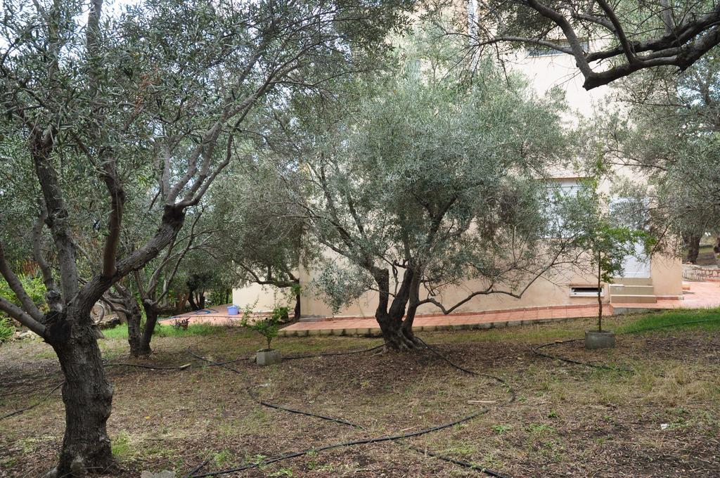 דירות Episkopi-Chania Ktima Tzamika מראה חיצוני תמונה